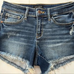 Judy Blue cut off distressed shorts